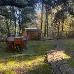Vila La Casa Nel Bosco - 8 Posti Letto - Italywego *