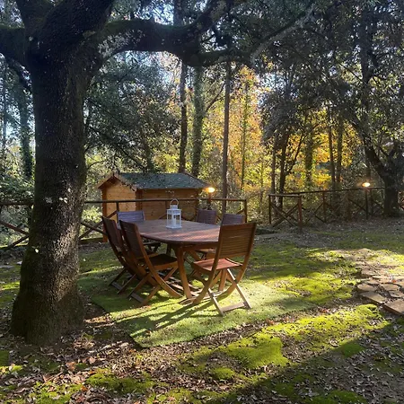 La Casa Nel Bosco - 8 Posti Letto - Italywego Perugia
