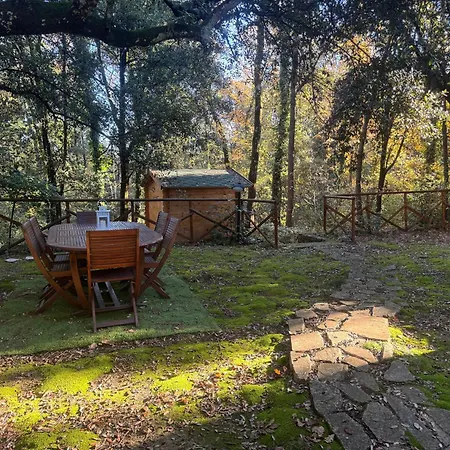 Villa La Casa Nel Bosco - 8 Posti Letto - Italywego *