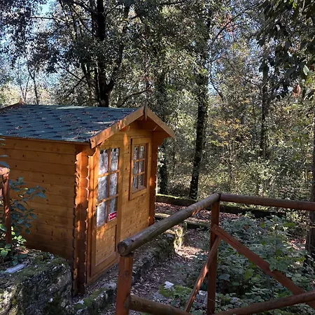 La Casa Nel Bosco - 8 Posti Letto - Italywego Villa
