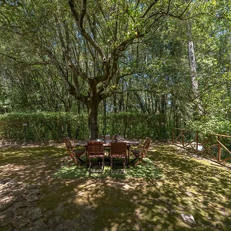 Villa La Casa Nel Bosco - 8 Posti Letto - Italywego
