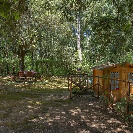 Villa La Casa Nel Bosco - 8 Posti Letto - Italywego Perugia