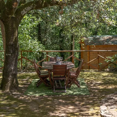 La Casa Nel Bosco - 8 Posti Letto - Italywego