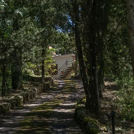 La Casa Nel Bosco - 8 Posti Letto - Italywego Villa